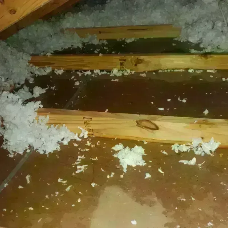 Attic Water Damage in Taft, CA